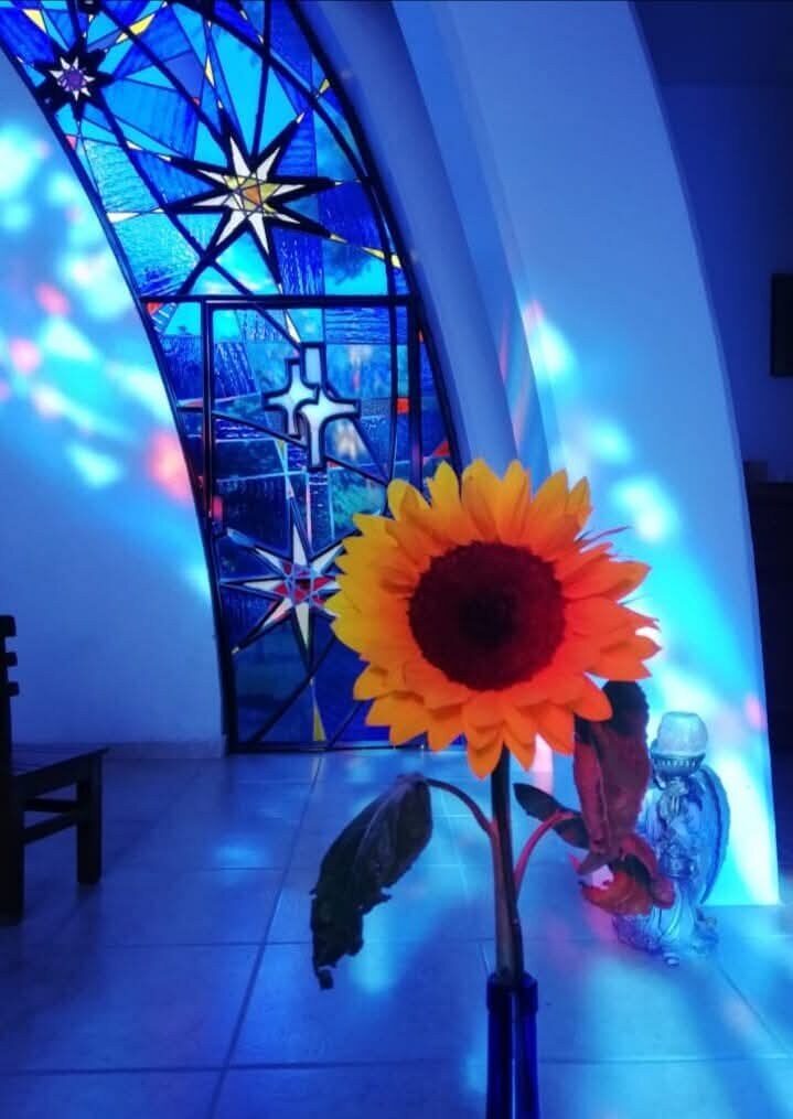 Un vitral azul con estrellas y una cruz tiñe de luz la capilla, con un girasol en primer plano.